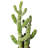 31'' Faux Succulent in Pot
