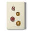 Prune II - impression sur toile tendue-1336912714