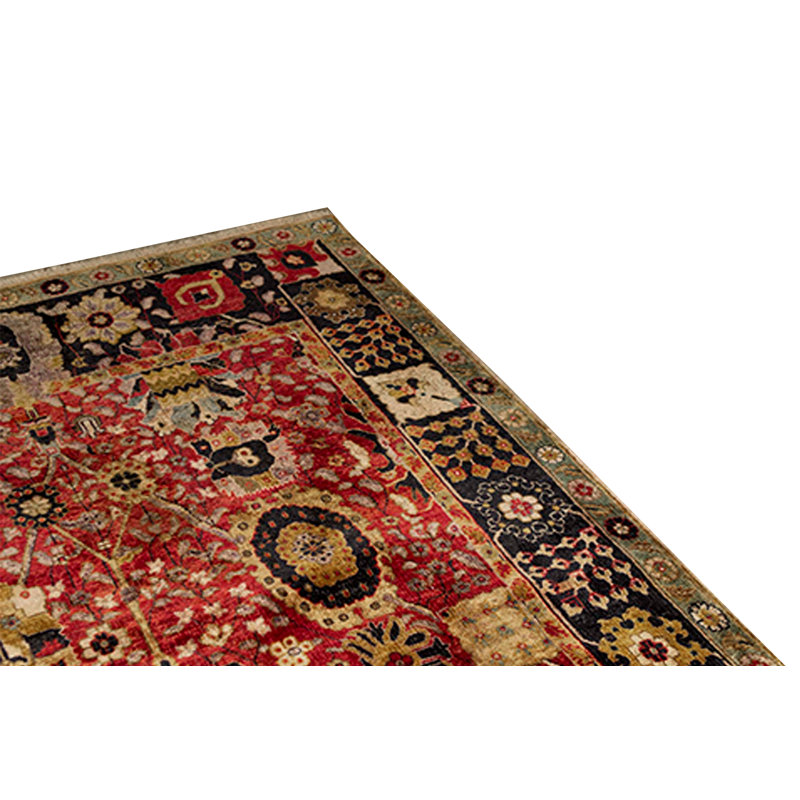 Oriental Area Rug