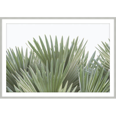 Tropical Leaves " Tropical Leaves 6 " by Studio L57 Narrative