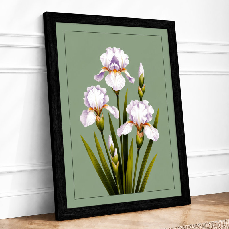 Ruffled Iris Study Botanical - Print, A1 - 84.1 x 59.4 cm, Black