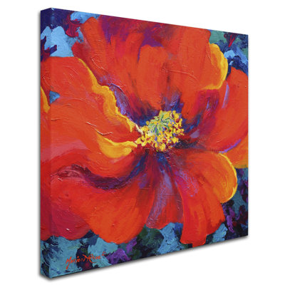«Passion Poppy» par Marion Rose, reproduction sur toile