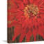 Alan Hopfensperger - Wrapped Canvas Painting-1737738207