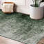 Odysseus Recycled P.E.T Area Rug-2089444081