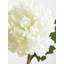Fiori Chrysanthemum Arrangement