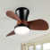 Ceiling Fan with Remote Control and LED Light