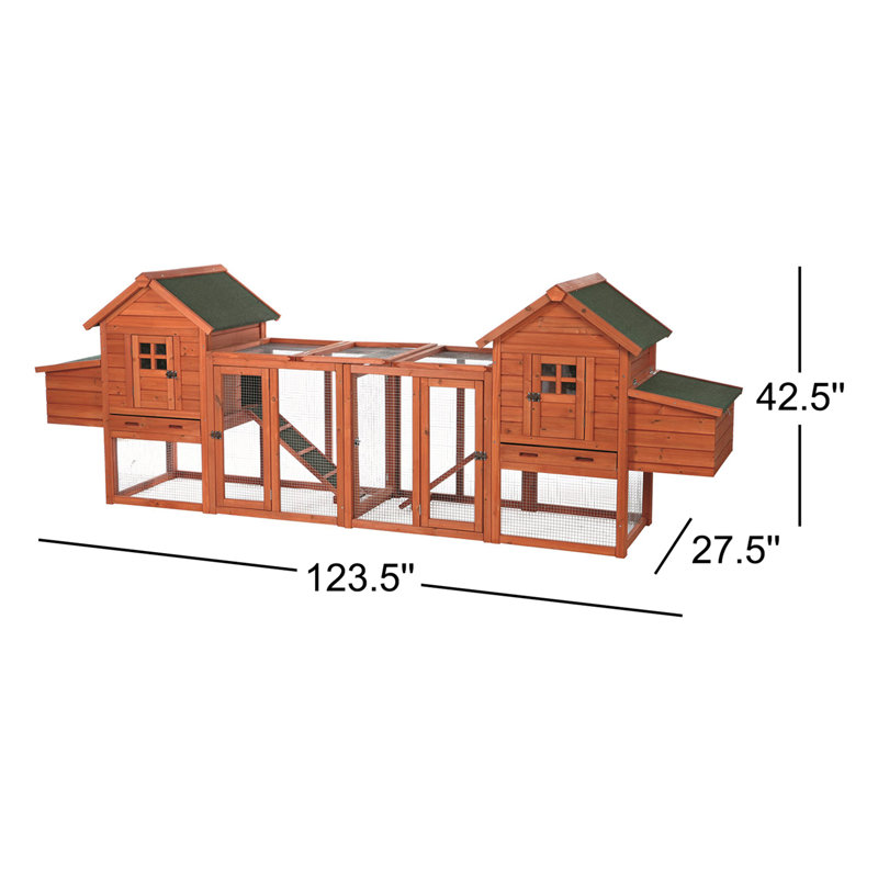 Poulailler avec basse-cour en duplex
