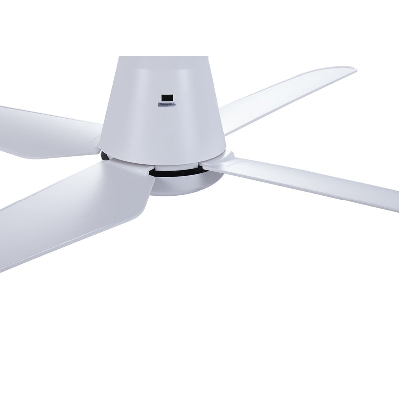 Aalyia 122cm Ceiling Fan with LED Lights