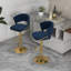 Christal Height Adjustable Swivel Bar Stool-1824469462-1824469456