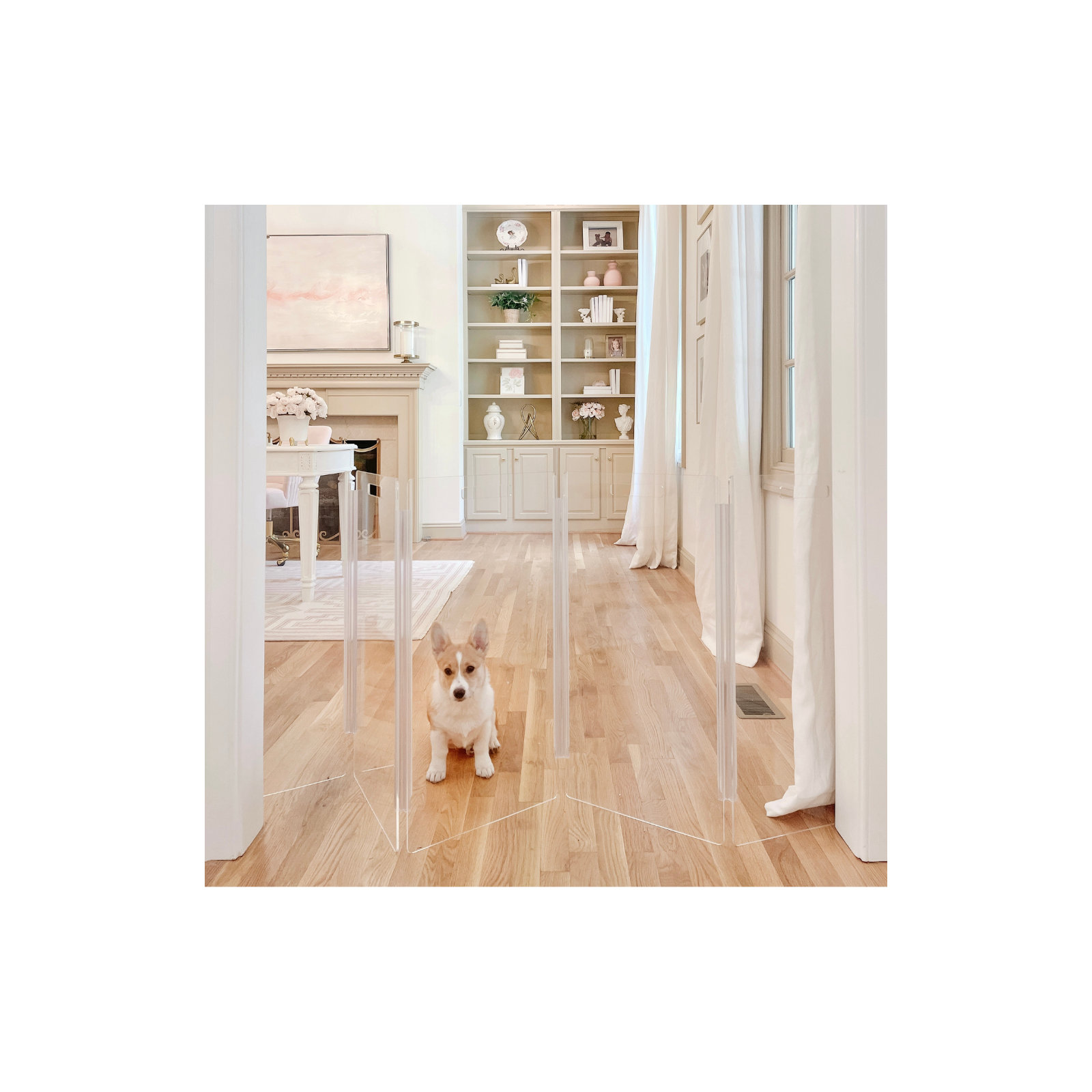 Tall Zig Zag Clear Pet Gate, 6-Panel