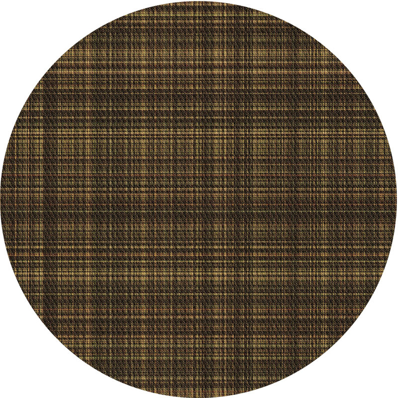 Indoor Rug, Round 4'