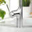 RoomTec Pull Down Kitchen Faucet