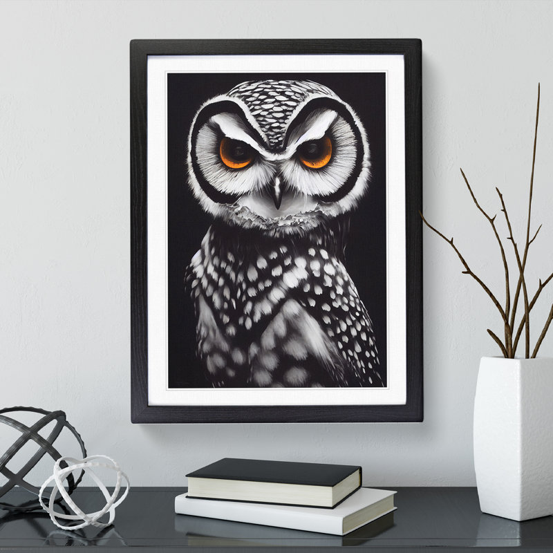 XV1022-611X An Illuminating Owl - Single Picture Frame Print, Black, 64cm H x 46cm W
