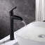 Single-Hole Single-handle Bathroom Faucet with Drain Assembly-64578967