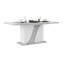 Bhrianne Extendable Dining Table