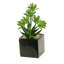 Faux Succulent in Ceramic Planter