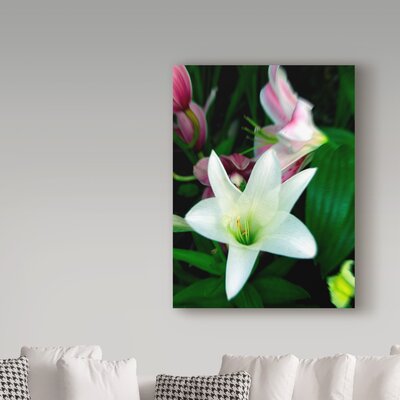 Lily White Floral' Photographic Print on Wrapped Canvas -  Trademark Fine Art, ALI36852-C1824GG