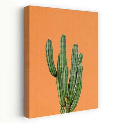 Orange Cactus Abstract Contemporary Cactus Succulent Plant Landscape Wall Art Print