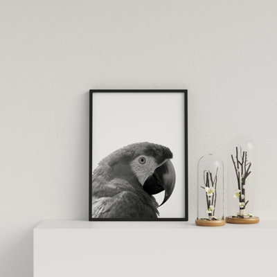 Parrot On White Background by Vouvart - Single Picture Frame Print