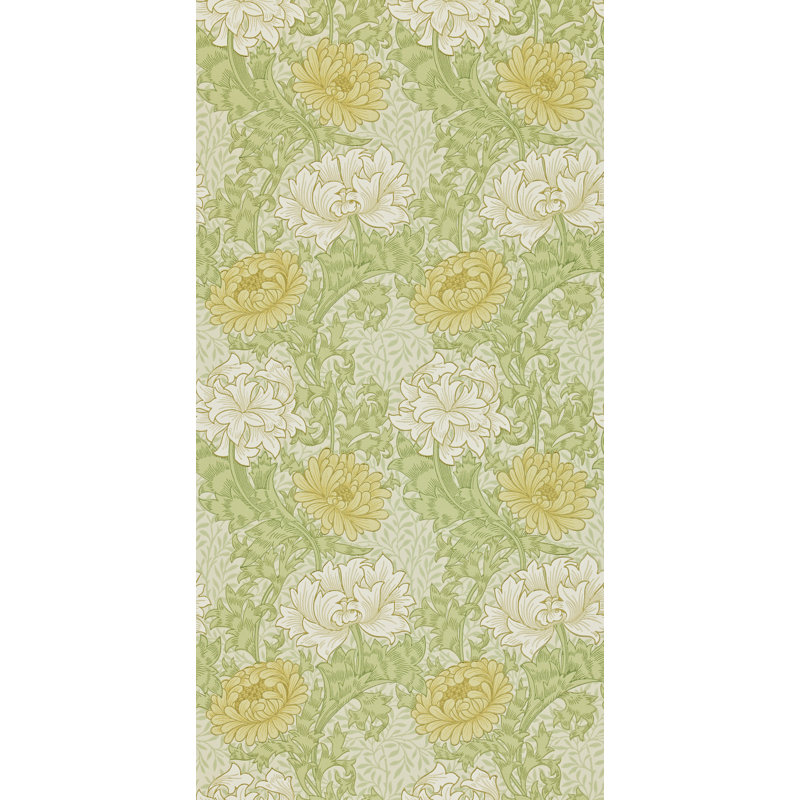 Chrysanthemum Wallpaper, Pale Olive