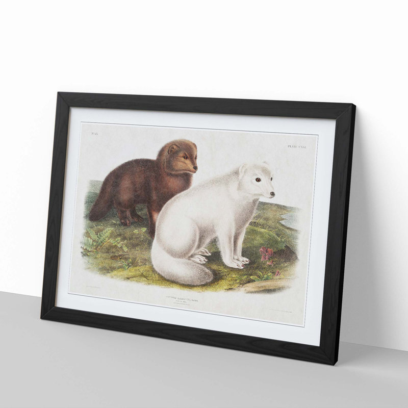 Arctic Fox 1 Piece Single Picture Frame Painting, 33cm H x 45cm W x 2cm D, Black Framed