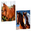 Cloison 3 panneaux cheval Darren