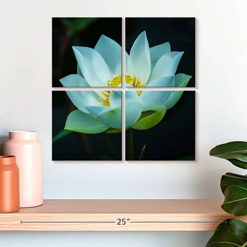 Harnek Lotus at Dawn, H 18 po x l 18 po