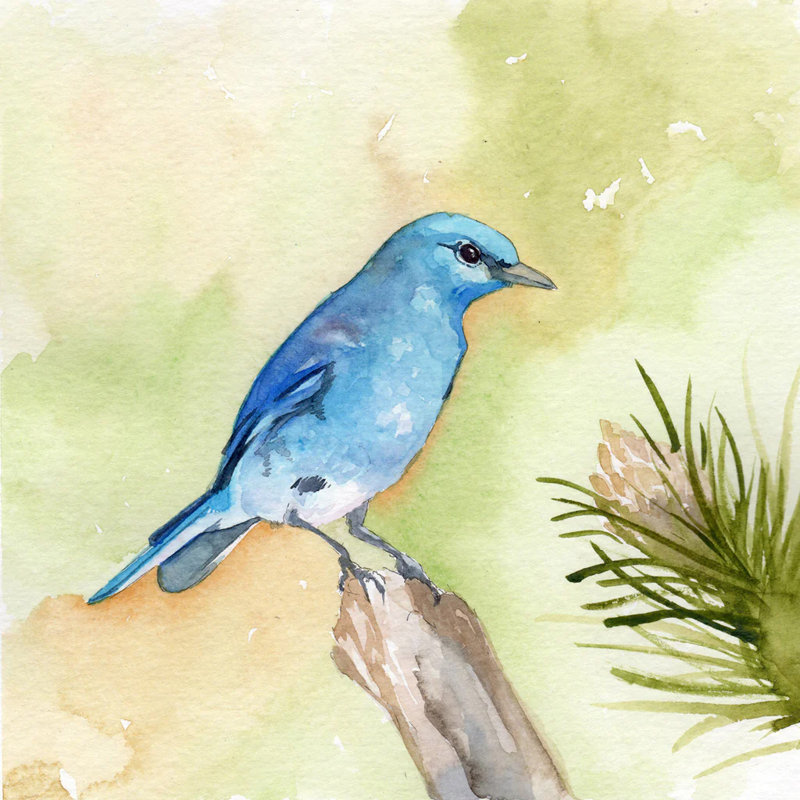 «Mountain Bluebird», reproduction de peinture à l'aquarelle, H 12 po x l 12 po x P 2 po, Toile tendue, Pas de tapis