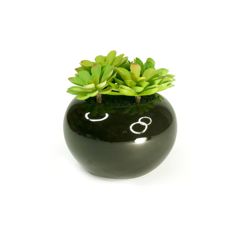 7.5'' Faux Succulent in Ceramic Vase