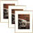 Mariana 16x20 Picture Frame, Metal Frame Display Poster 11x14 with Mat or 16 x 20 Without Mat