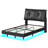 Floating Bed Frame-167634663