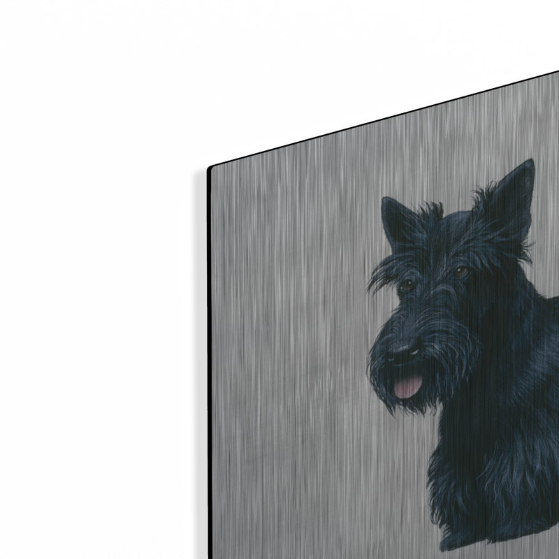 «Scottish Terrier» par Harro Maass, H 16 po x l 24 po