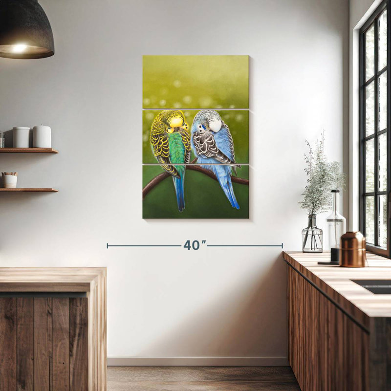 Brampt Budgie Siesta, H 38 po x l 24 po