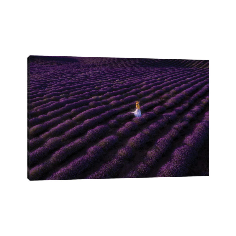 The Woman In Lavender by Bingo Z - Wrapped Canvas Painting, 20.32 cm H x 30.48 cm W