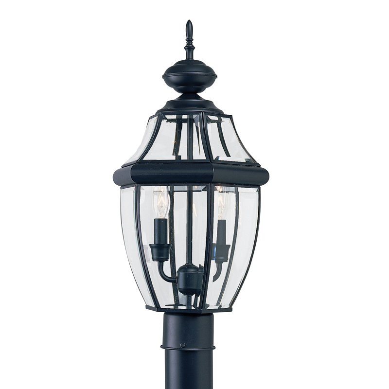 Tête de lanterne câblée à 1 lumière H 21,5 po Eirini, Noir, Non