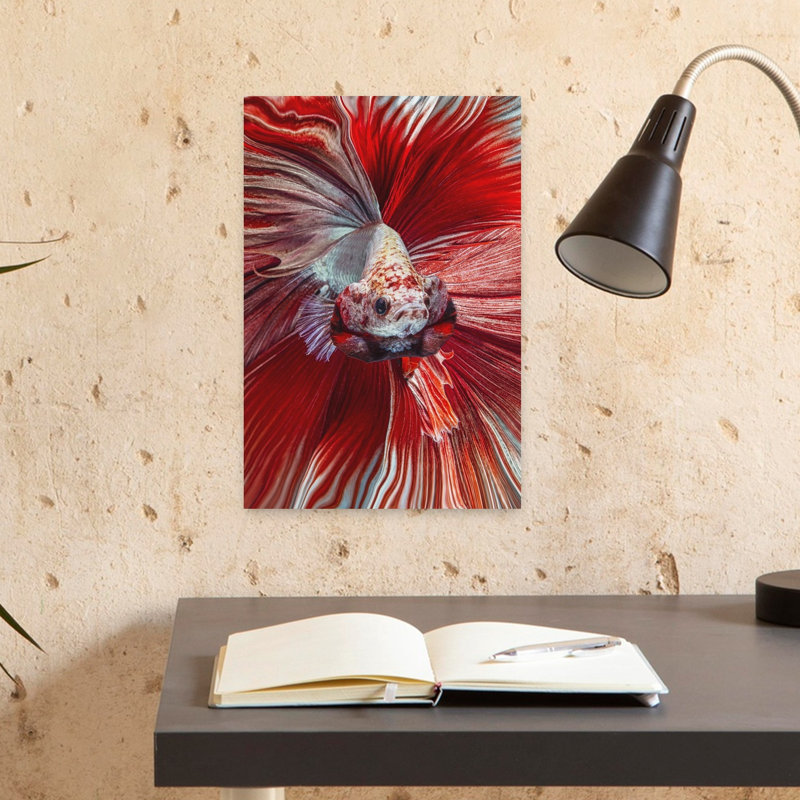 Majestic Red Betta Colorful Elegant Vibrant Fish Tropical Wall Art Print 1 Piece Wrapped Canvas Wall Art