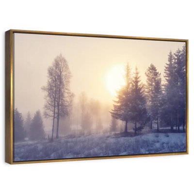 Winter Dawn