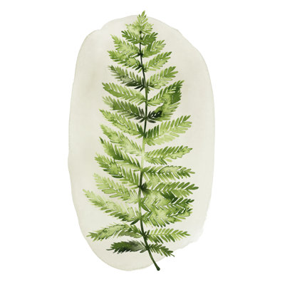 Spot Fern I by Grace Popp - Painting
