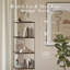 Jamisen Bookcase, Display Cabinet Curio Cabinet, Floor Standing Bookshelf, Acrylic and Wood-559913885