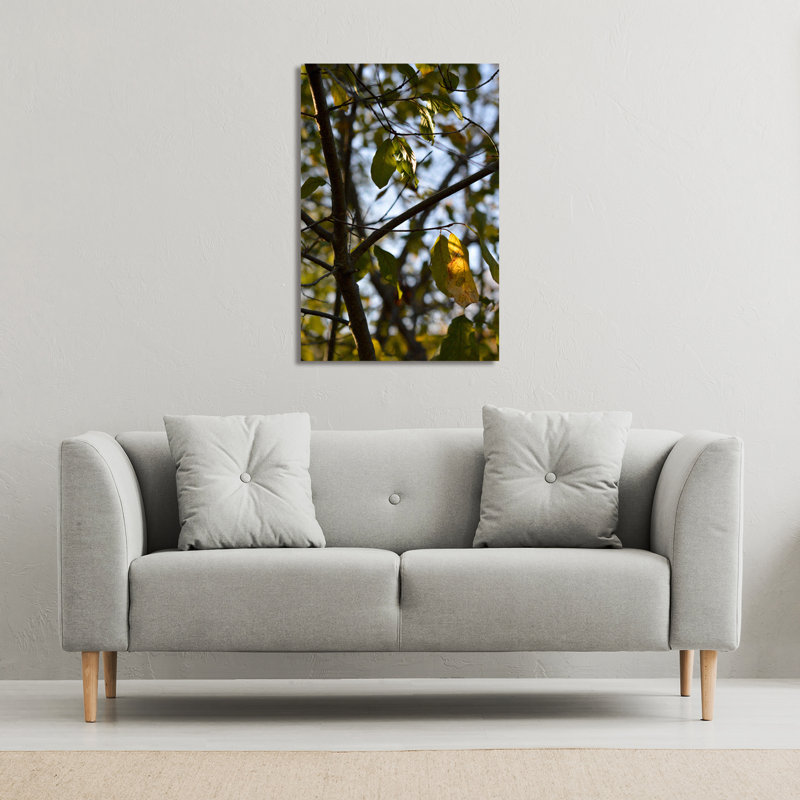 No Title by Andrew Lee - Wrapped Canvas Print