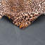 Scholten Animal Print Area Rug-1879081929