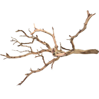  Natural California Driftwood Branch, 36-Inch