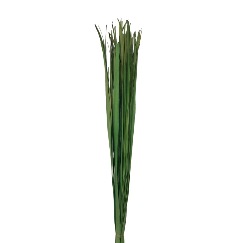 Elmhur Arrangement, Fern Green