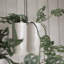  Ceramic Pot Planter-410139328-410139329
