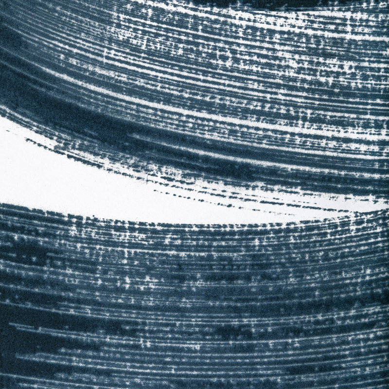 Rhapsody Laryo 11' L x 27.5" W Wallpaper Roll, Indigo