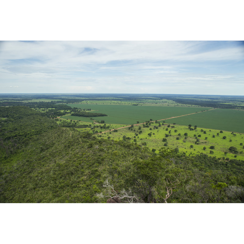 Soybean Plantation In A Cerrado Area by Josemoraes - No Frame Art Prints on Canvas, 20cm H x 30cm W