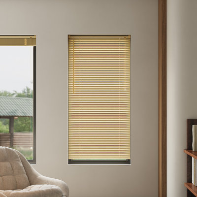 Room Darkening Horizontal/Venetian blind