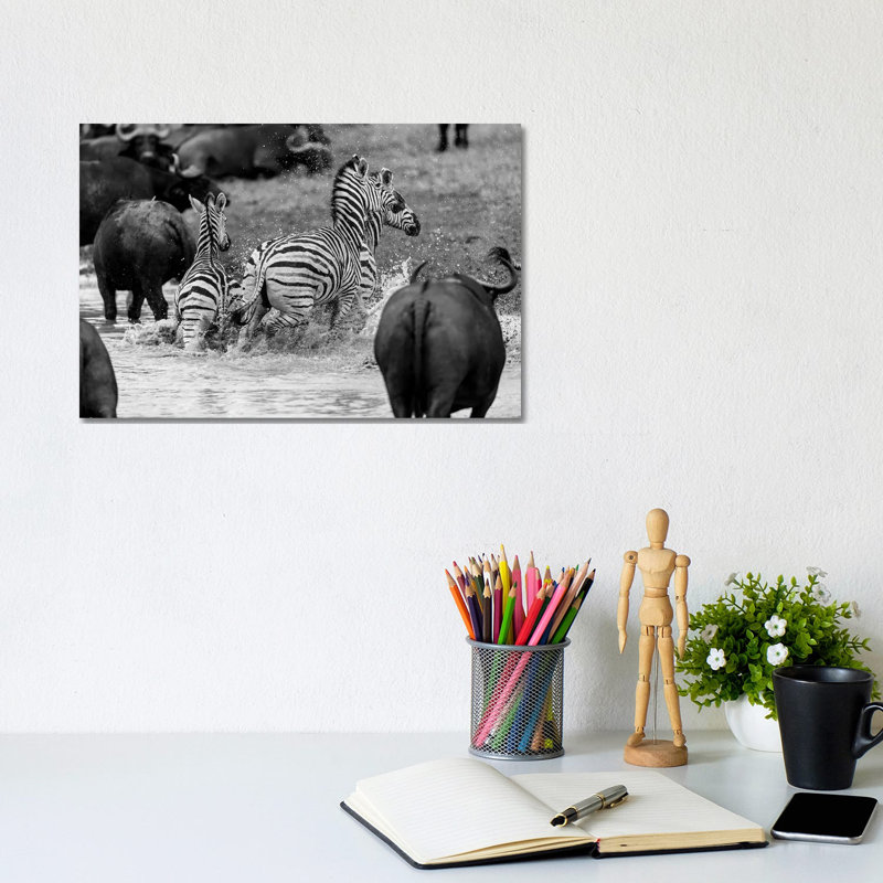 Zebras And Wildebeests by Anders Jorulf - Wrapped Canvas Print, 20.32 cm H x 30.48 cm W