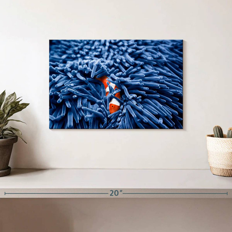Aletra Clownfish Amongst Anemone, 8" H x 12" W