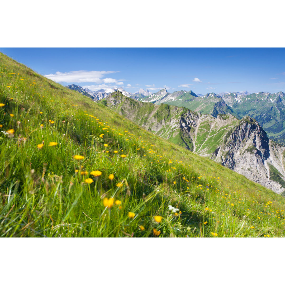 Blühende Alpensommerwiesen von Wingmar - Leinwandbild